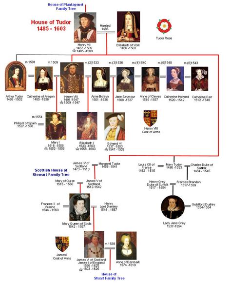 house of tudor lineage|tudor descendants today.